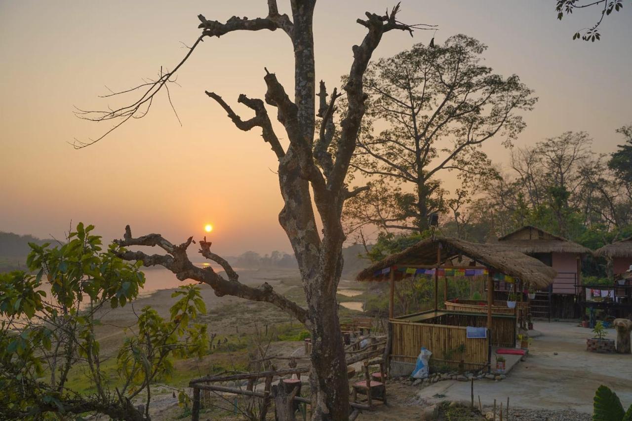 Bamby Chilling House - Feel The Nature Sauraha Exterior photo